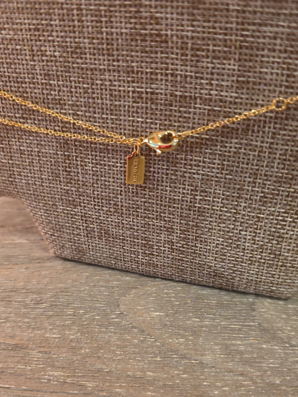 Coach elegant gold